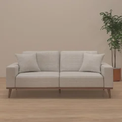 Ava Sofa with 2 Pillows Sofas & Couches
