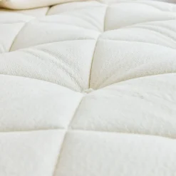 Avocado Luxury Organic Medium Eastern King Mattress Eastern King Mattresses