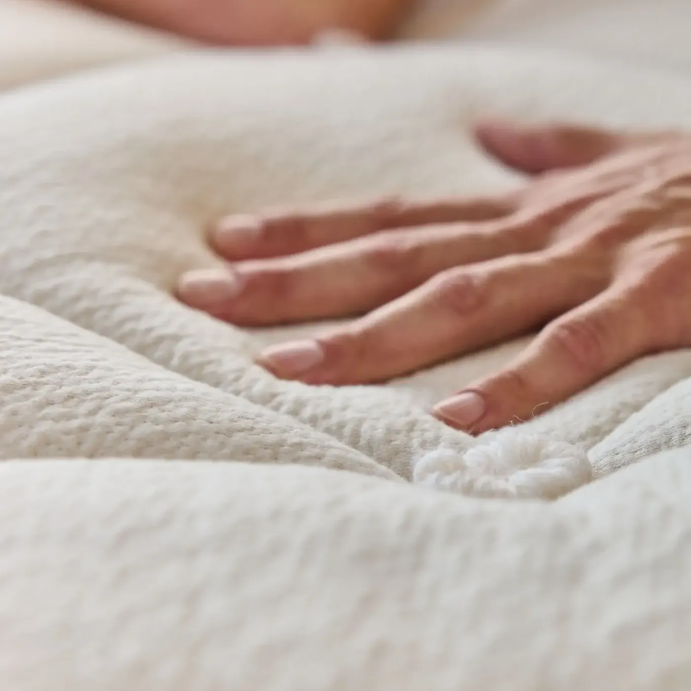 Discount Avocado Luxury Organic Plush Eastern King Mattress Eastern King Mattresses