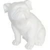 Best Bull Dog Accent Kids Kids Accessories