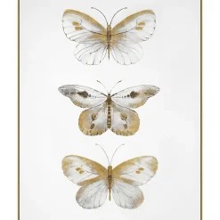 Butterflies Wall Art Wall Art