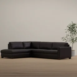 New Eldon 2pc Sectional Sectionals