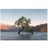 New Lonely Tree Glass Wall Art Wall Art