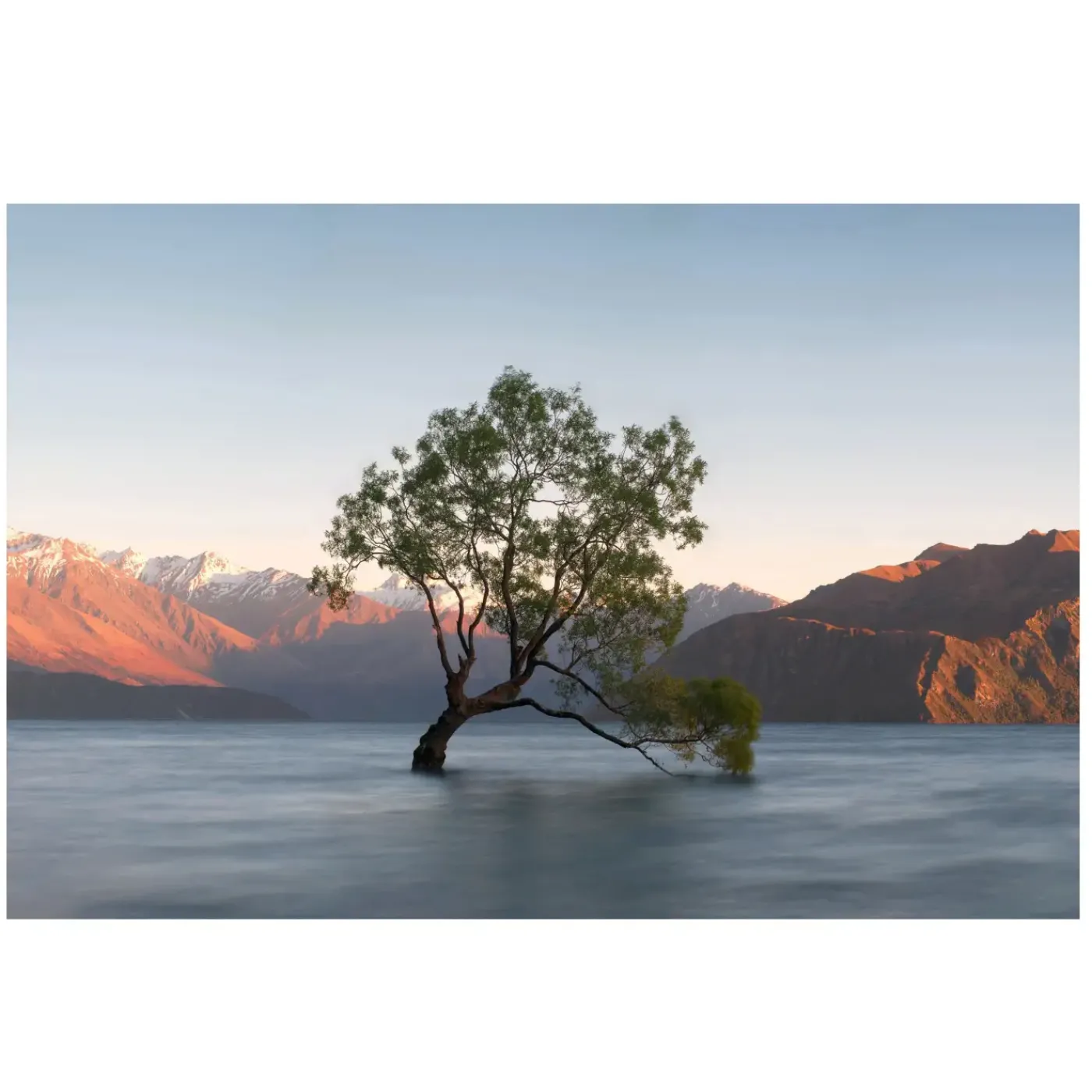 New Lonely Tree Glass Wall Art Wall Art