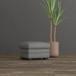 New Paxton-New! Ottoman Ottomans