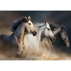 Hot Running Horses Glass Wall Art Wall Art