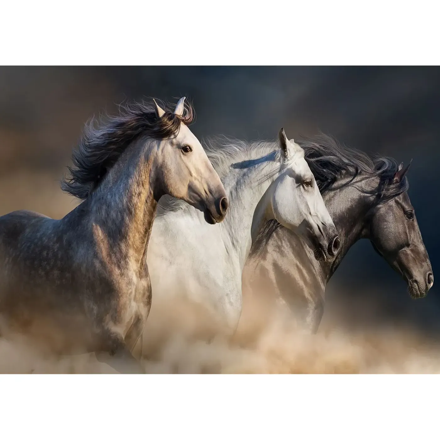 Hot Running Horses Glass Wall Art Wall Art