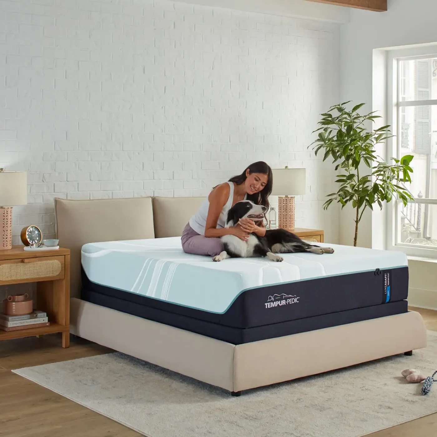 Best Tempur-Pedic Luxe Adapt 2.0 California King Mattress Twin Mattresses|Eastern King Mattresses