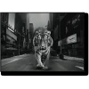 Discount Tiger in the City Wall Art Wall Art
