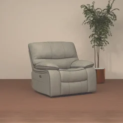 Clearance Trilogy Power Recliner Recliners