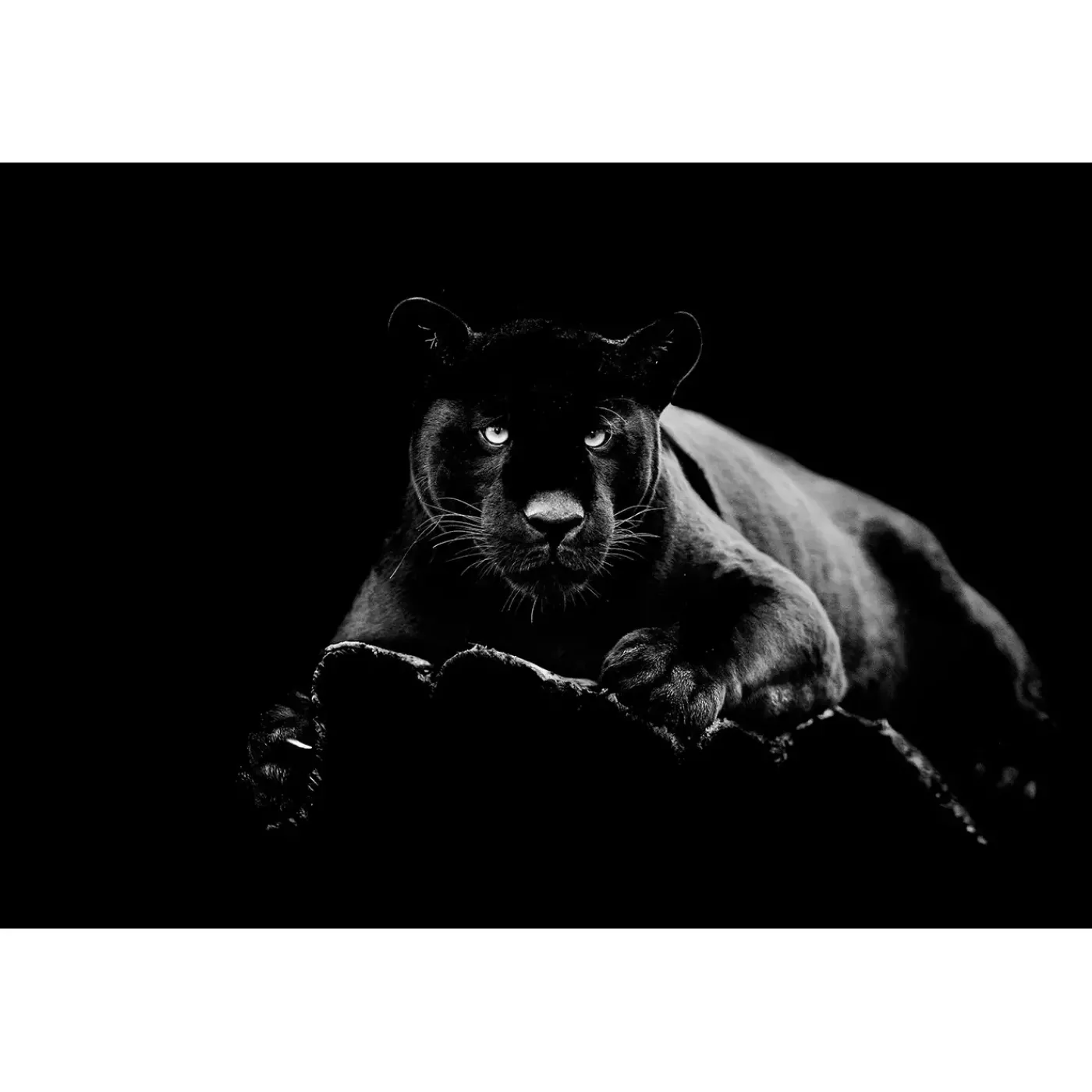 Sale 60" x 40" Black Panther Glass Wall Art Wall Art