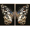 Hot 52x52 S/2 Butterfly Wall Art Wall Art Wall Art